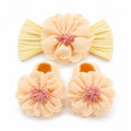 Baby Girls Headband & Shoes Set